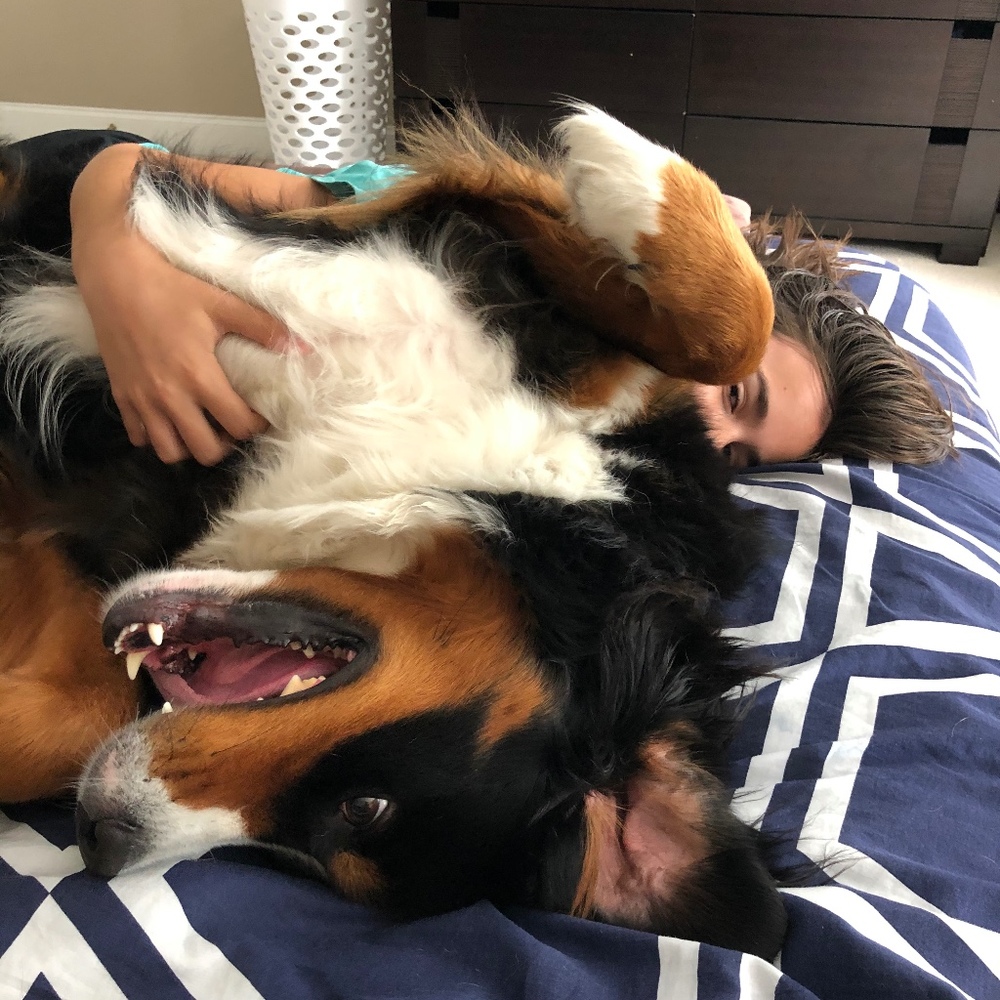 Meet your Posher, Brittany